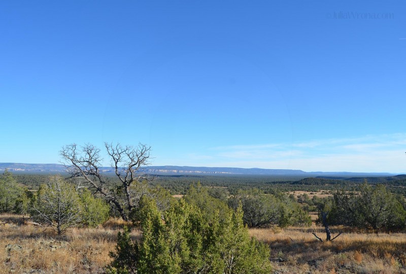 El Calderon Trail in New Mexico