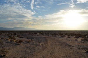 Mojave desert unpaved road