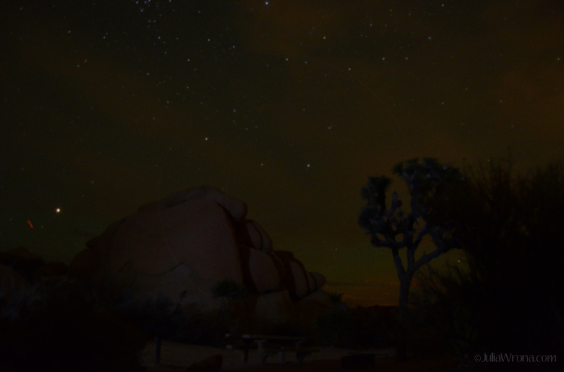 the starry night sky in Joshua Tree National Park