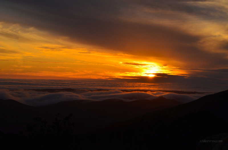 Sunset covered in fog over the valley Central Coast, California